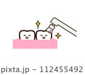 歯医者でブラッシングされる歯 112455492