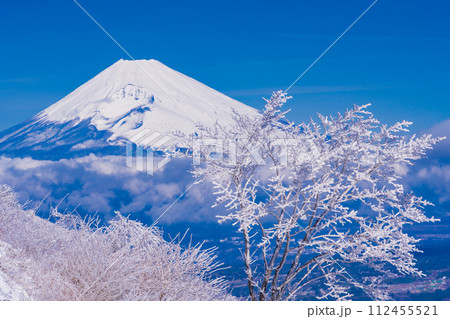 (静岡県)雪化粧した伊豆スカイライン、玄岳展望台から眺める富士山 (静岡県)雪化粧した伊豆スカイライン、玄岳展望台から眺める富士山 112455521