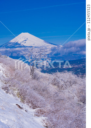 （静岡県）雪化粧した伊豆スカイライン、玄岳展望台から眺める富士山 112455523
