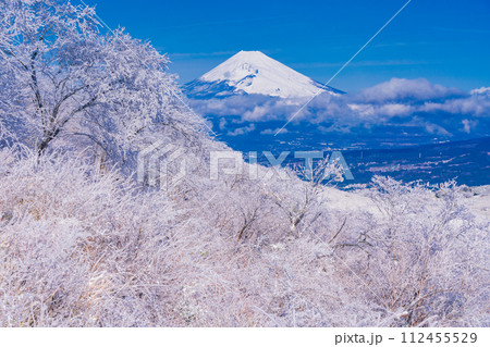 （静岡県）雪化粧した伊豆スカイライン、玄岳展望台から眺める富士山 112455529
