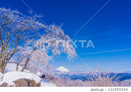 (静岡県)雪化粧した伊豆スカイライン、玄岳展望台から眺める富士山 (静岡県)雪化粧した伊豆スカイライン、玄岳展望台から眺める富士山 112455534