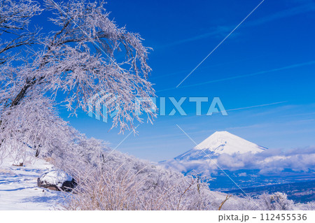 （静岡県）雪化粧した伊豆スカイライン、玄岳展望台から眺める富士山 112455536