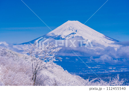 (静岡県)雪化粧した伊豆スカイライン、玄岳展望台から眺める富士山 (静岡県)雪化粧した伊豆スカイライン、玄岳展望台から眺める富士山 112455540