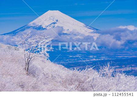 （静岡県）雪化粧した伊豆スカイライン、玄岳展望台から眺める富士山 112455541