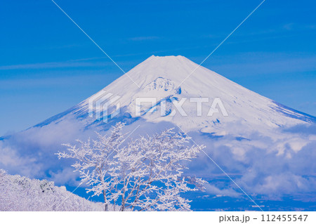 （静岡県）雪化粧した伊豆スカイライン、玄岳展望台から眺める富士山 112455547