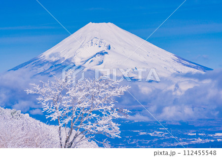 (静岡県)雪化粧した伊豆スカイライン、玄岳展望台から眺める富士山 (静岡県)雪化粧した伊豆スカイライン、玄岳展望台から眺める富士山 112455548