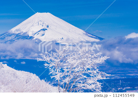 （静岡県）雪化粧した伊豆スカイライン、玄岳展望台から眺める富士山 112455549