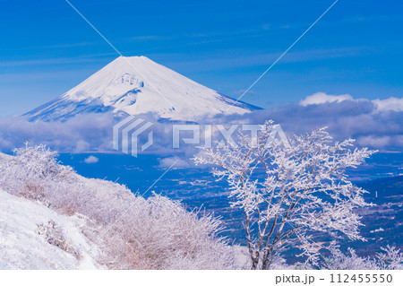 （静岡県）雪化粧した伊豆スカイライン、玄岳展望台から眺める富士山 112455550