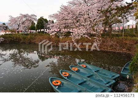 桜咲く篠山城跡 桜咲く篠山城跡 112456173