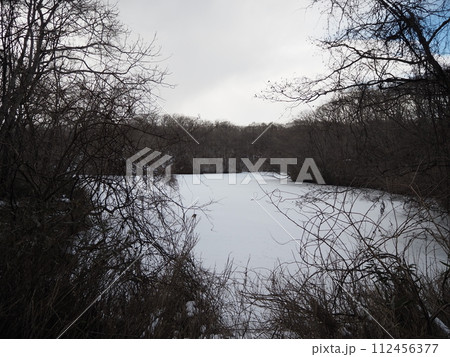 氷が張って積雪している錦大沼公園の錦大沼 氷が張って積雪している錦大沼公園の錦大沼 112456377
