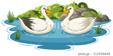 Serene Swans on a Peaceful Pond Serene Swans on a Peaceful Pond 112456648