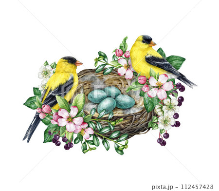 Birds on the nest vintage style decor element. Watercolor illustration. Hand drawn goldfinch birds on the nest with eggs and garden flowers, green leaves. Springtime decoration. White background 112457428