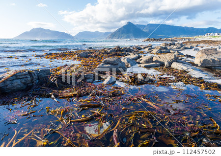 The cape peninsula The cape peninsula 112457502