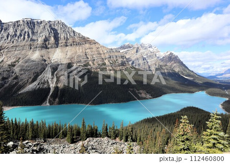 カナダ ロッキー山脈 ペイトー湖 112460800