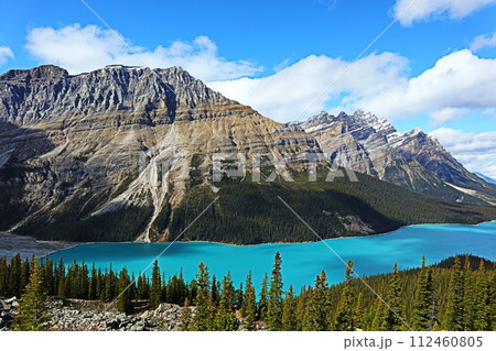 カナダ ロッキー山脈 ペイトー湖 112460805