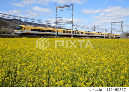 菜の花畑を行く近鉄特急「伊勢志摩ライナー」 112460887