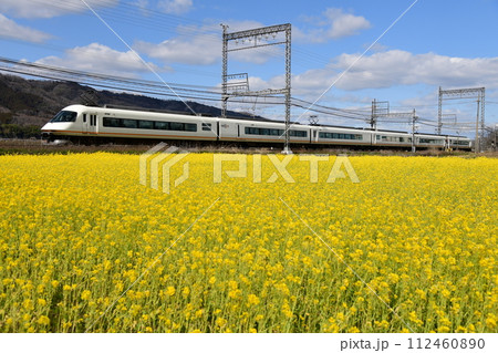 菜の花畑を行く近鉄特急「アーバンライナー」 菜の花畑を行く近鉄特急「アーバンライナー」 112460890