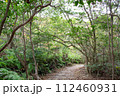 古代の山城　鬼ノ城の散策路　岡山県総社市 112460931