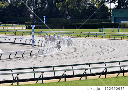 春の中京ダートコース 春の中京ダートコース 112460955