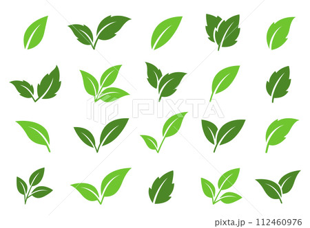 green plant leaves and branches icons 112460976
