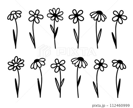 Wildflowers, summer flowers set with daisy silhouettes 112460999