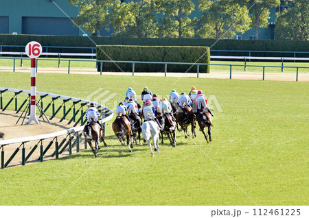 春の中京芝レース 112461225