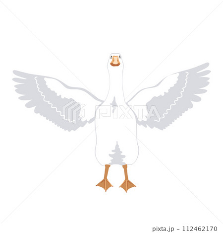 White goose spreads and flapping its wings. Vector isolated illustration White goose spreads and flapping its wings. Vector isolated illustration 112462170