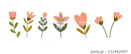 Hand drawn minimal flowes. Floral springtime prints design. Isolated on white background. Vector stock illustration 112462697