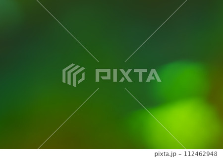 ディープグリーン系動きのあるイメージ ディープグリーン系動きのあるイメージ 112462948