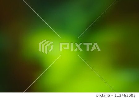 ディープグリーン系動きのあるイメージ 112463005
