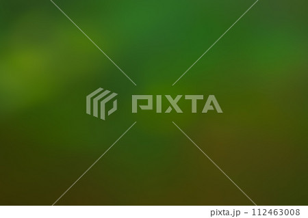 ディープグリーン系動きのあるイメージ 112463008