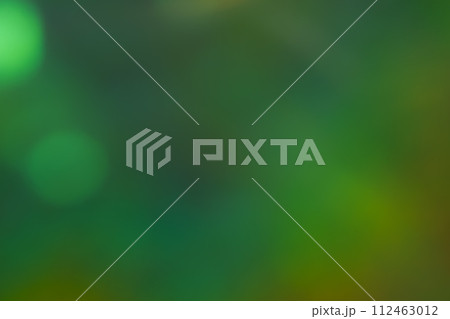 ディープグリーン系動きのあるイメージ 112463012