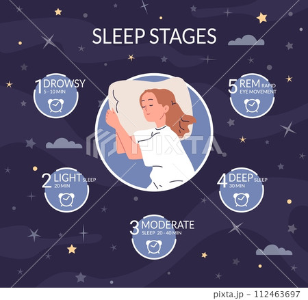 Sleep stages. Sleeping cycle routine science...のイラスト素材 [112463697] - PIXTA