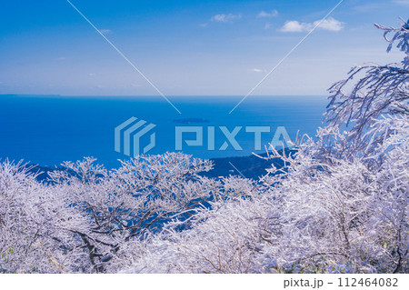 （静岡県）霧氷（雨氷）の花咲く伊豆スカイラインから東伊豆の海岸線を見下ろす 112464082