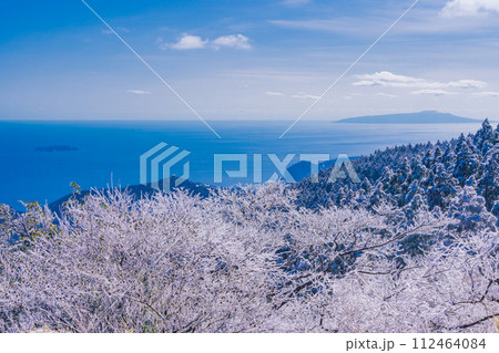 (静岡県)霧氷(雨氷)の花咲く伊豆スカイラインから東伊豆の海岸線を見下ろす (静岡県)霧氷(雨氷)の花咲く伊豆スカイラインから東伊豆の海岸線を見下ろす 112464084