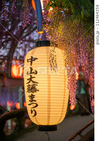 提灯と美しい藤の花(藤棚)観光風景「中山大藤【柳川市の中山熊野神社」】 提灯と美しい藤の花(藤棚)観光風景「中山大藤【柳川市の中山熊野神社」】 112464359