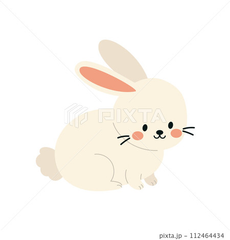 Adorable boho Easter bunny. Cartoon rabbit character for kids cards, baby shower, invitation, poster. Vector stock illustration Adorable boho Easter bunny. Cartoon rabbit character for kids cards, baby shower, invitation, poster. Vector stock illustration 112464434