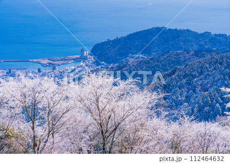 （静岡県）霧氷（雨氷）の花咲く伊豆スカイライン滝知山駐車場から熱海港を見下ろす 112464632
