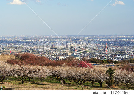 梅の花のある風景 112464662