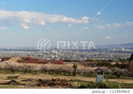 梅の花の公園から見た景色 112464663