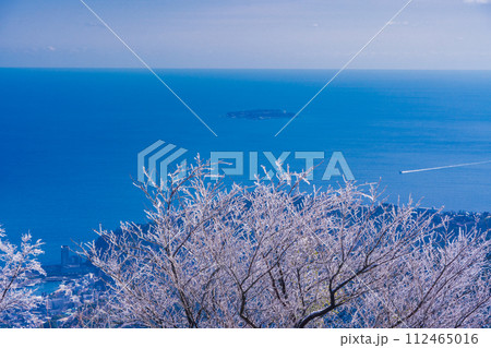 （静岡県）霧氷（雨氷）の花咲く伊豆スカイライン滝知山駐車場から、熱海港に向かうジェット船を眺める 112465016