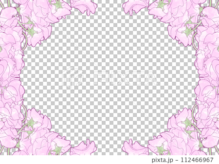 Realistic pink sweet pea watercolor frame 112466967