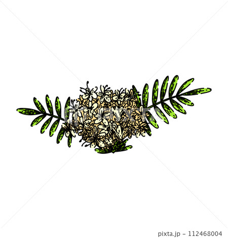 valerian valerian sketch hand drawn vector 112468004