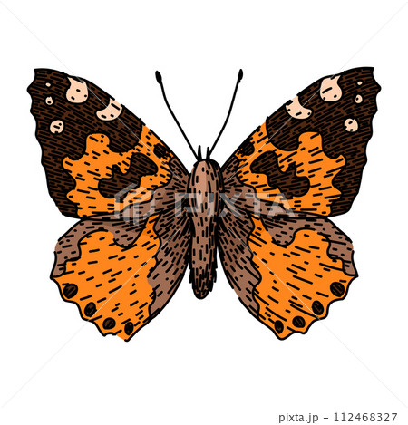 butterfly sketch hand drawn vector 112468327