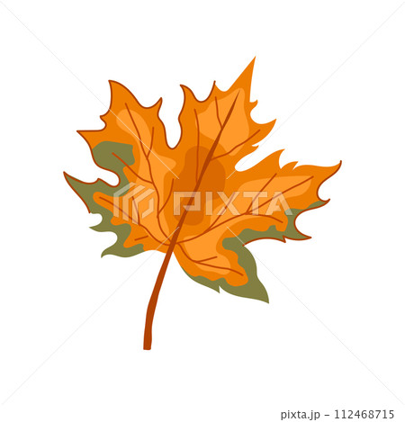 red maple leaf cartoon vector illustration 112468715