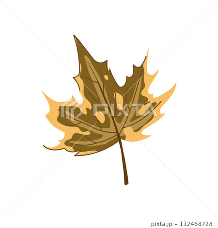 canadian maple leaf cartoon vector illustration 112468728