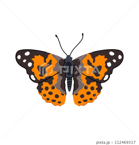 spring butterfly cartoon vector illustration spring butterfly cartoon vector illustration 112469317