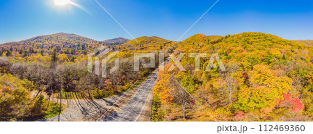 Aerial view of road in beautiful autumn forest at sunset. Beautiful landscape with empty rural road, trees with red and orange leaves. Highway through the park. Top view from flying drone. Nature 112469360
