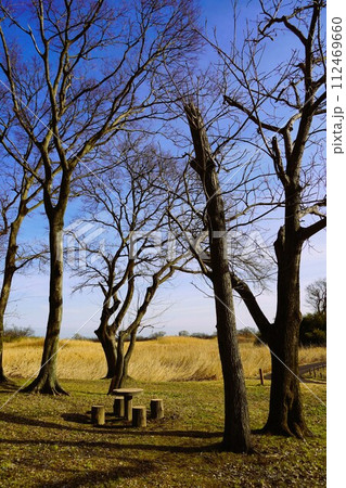 東京都民の命と財産を守る渡良瀬遊水地です。 東京都民の命と財産を守る渡良瀬遊水地です。 112469660