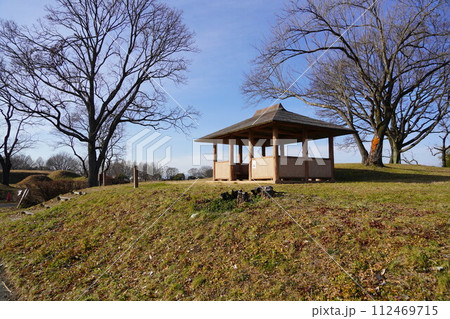 東京都民の命と財産を守る渡良瀬遊水地です。 東京都民の命と財産を守る渡良瀬遊水地です。 112469715